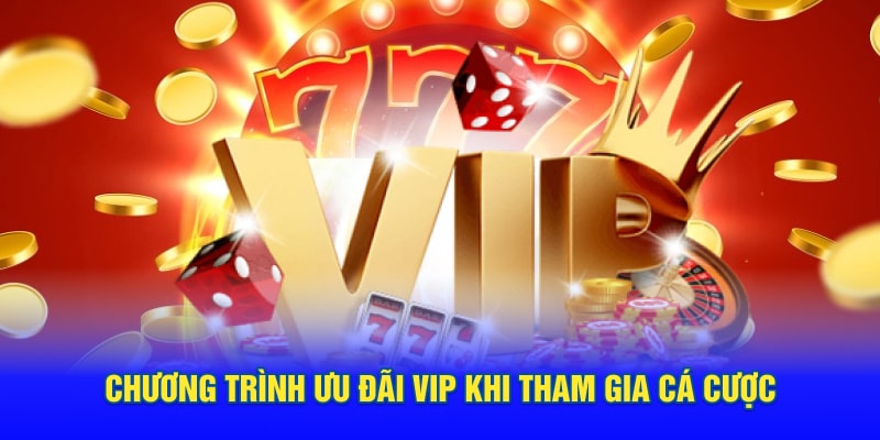 Chương trình ưu đãi VIP khi tham gia cá cược