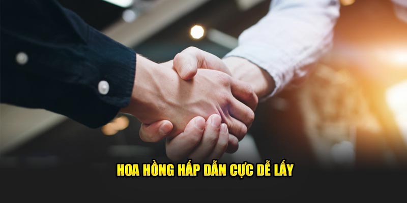 Hoa hồng hấp dẫn cực dễ lấy