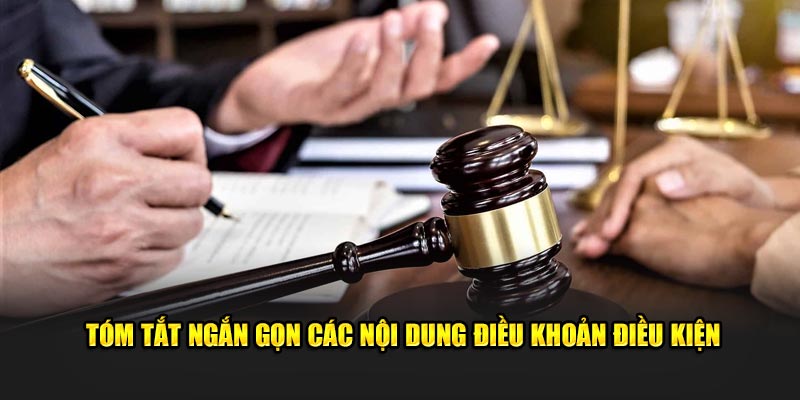 Tóm tắt ngắn gọn các nội dung điều khoản điều kiện