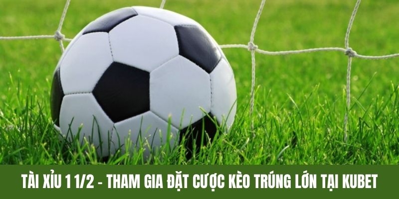 Tài Xỉu 1 1/2