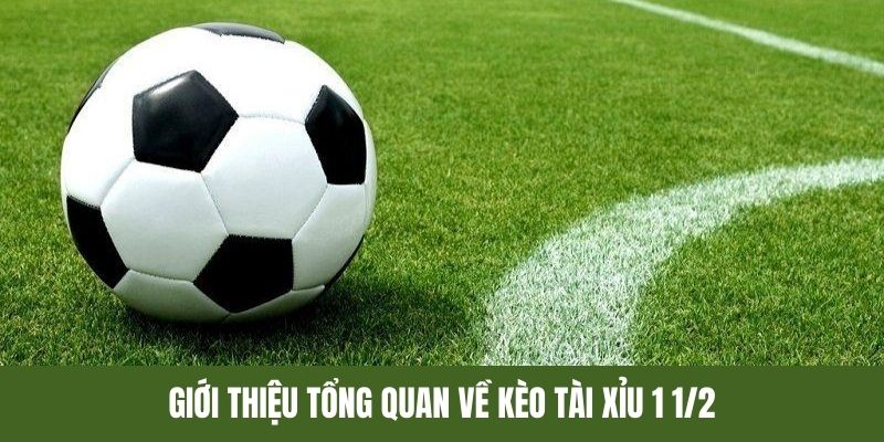 Khái quát về thể loại tài xỉu 1.5 trong cá độ đá banh